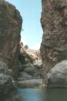 Preveli